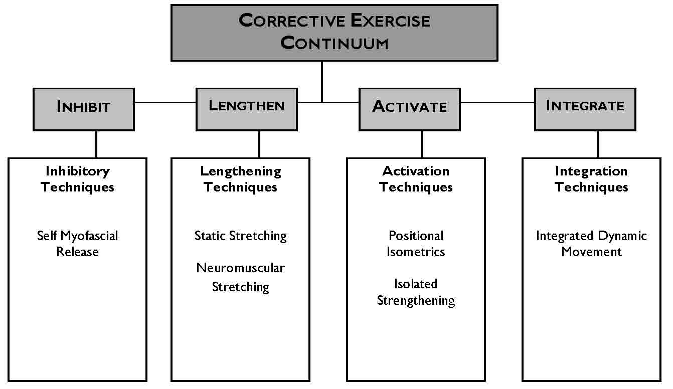 Nasm Corrective Exercise Chart